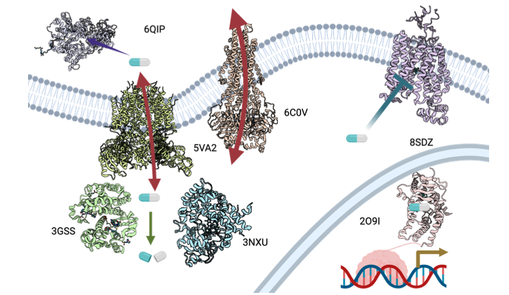 Structural proteins in the AVOID-OME